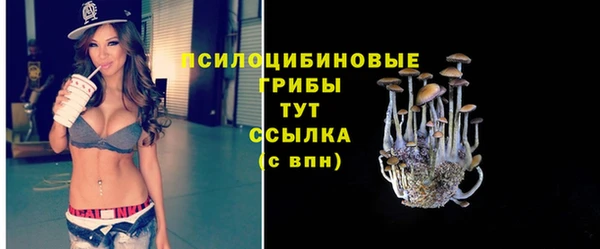 apvp Касимов